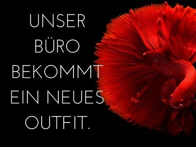 unser buero bekommt ein neues outfit unser buero bekommt ein neues outfit - unser-buero-bekommt-ein-neues-outfit.jpg