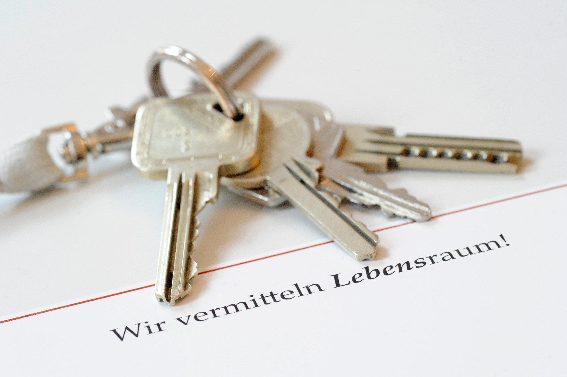 immobilienpoint immobilienpoint - 0164-immobilienpoint24-2013.jpg